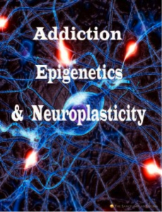 Addiction, Epigenetics & Neuroplasticity‏