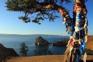 Shamanic Practitioner