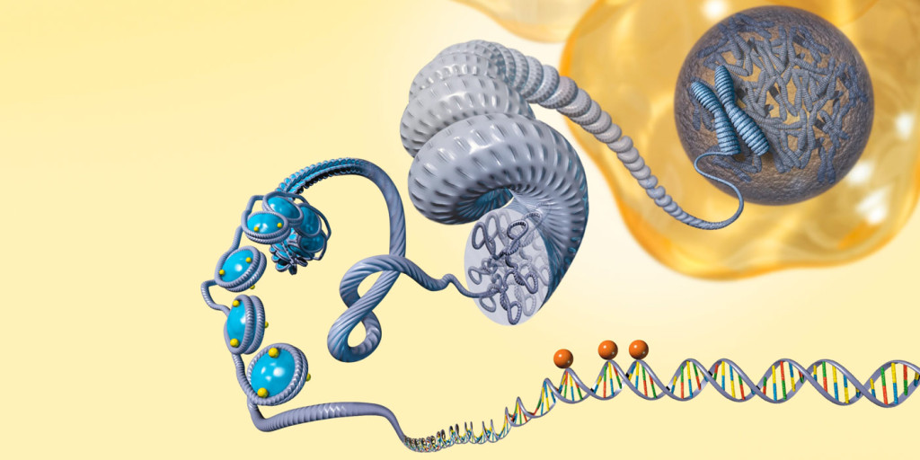 New Research on Genes and What it Means