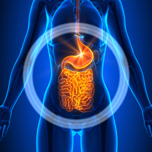 What is Leaky Gut Syndrome?