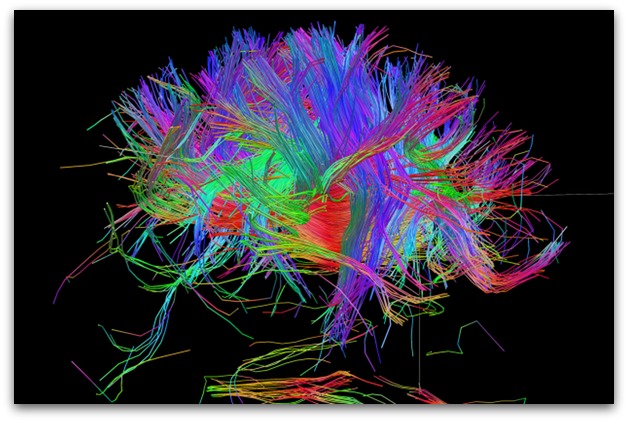Neuroplasticity and Addiction