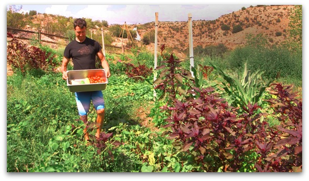 Food is Medicine – a Holistic Addiction Recovery Approach