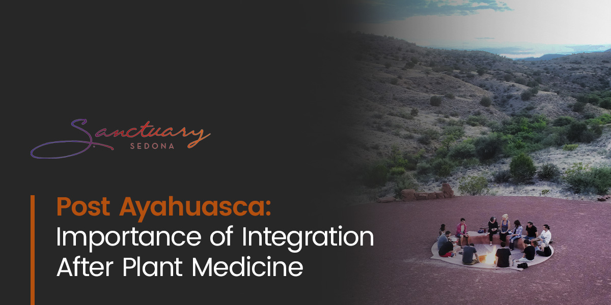 Post Ayahuasca: Importance of Integration After Plant Medicine