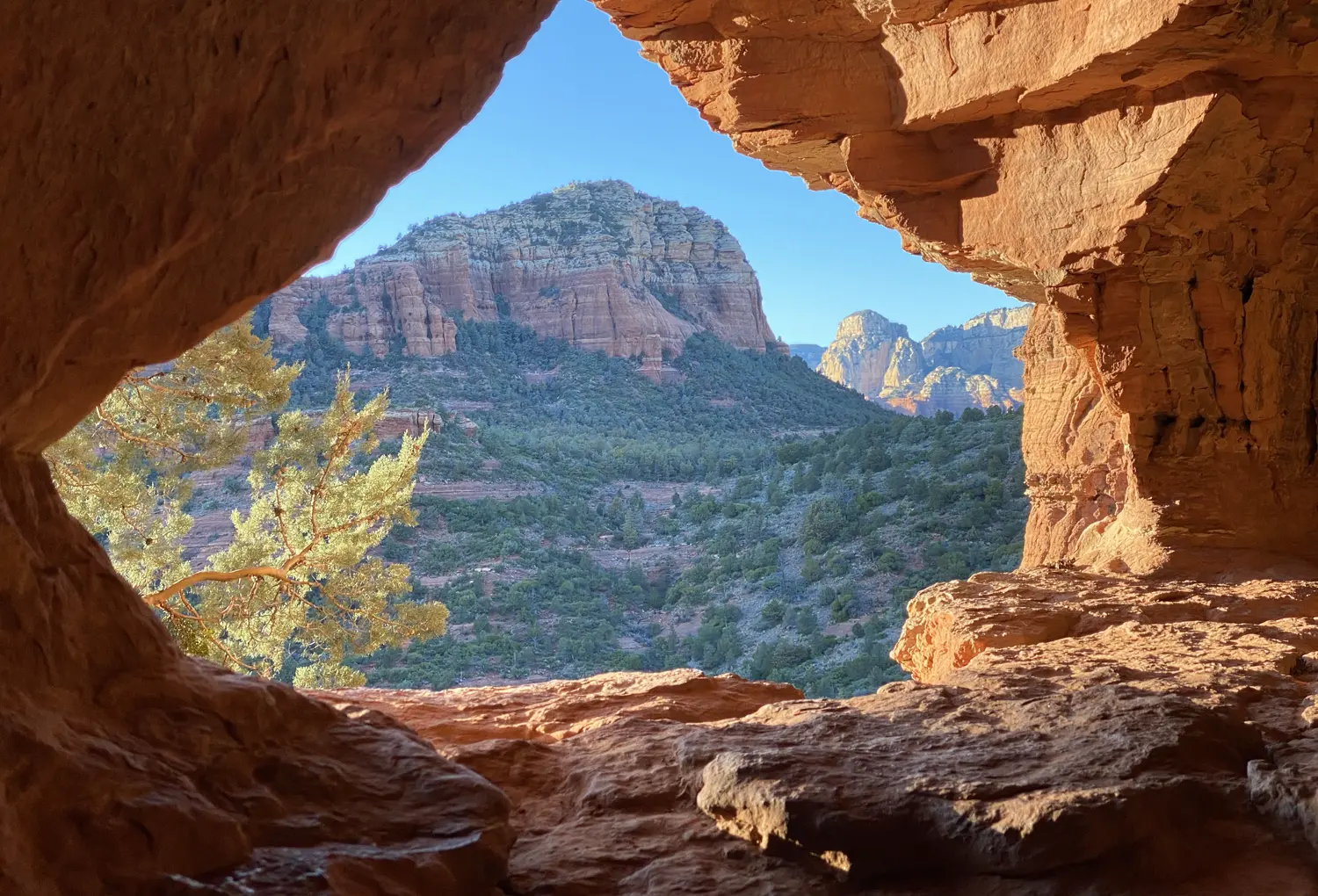Sedona nature photo