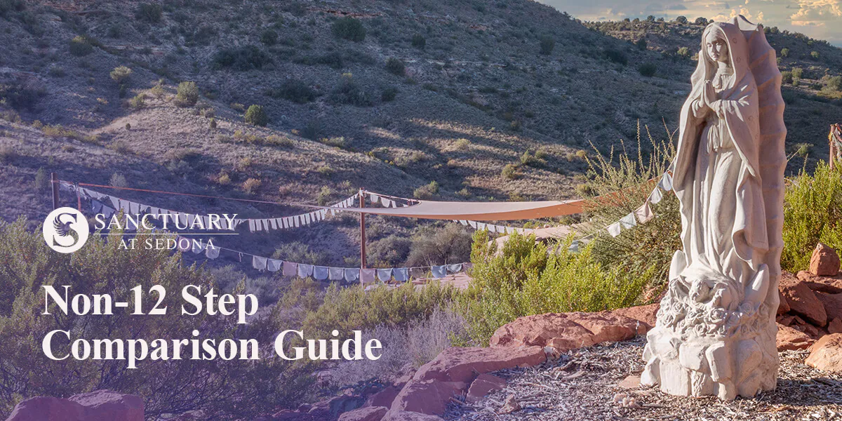 01-non12-step-comparison-guide